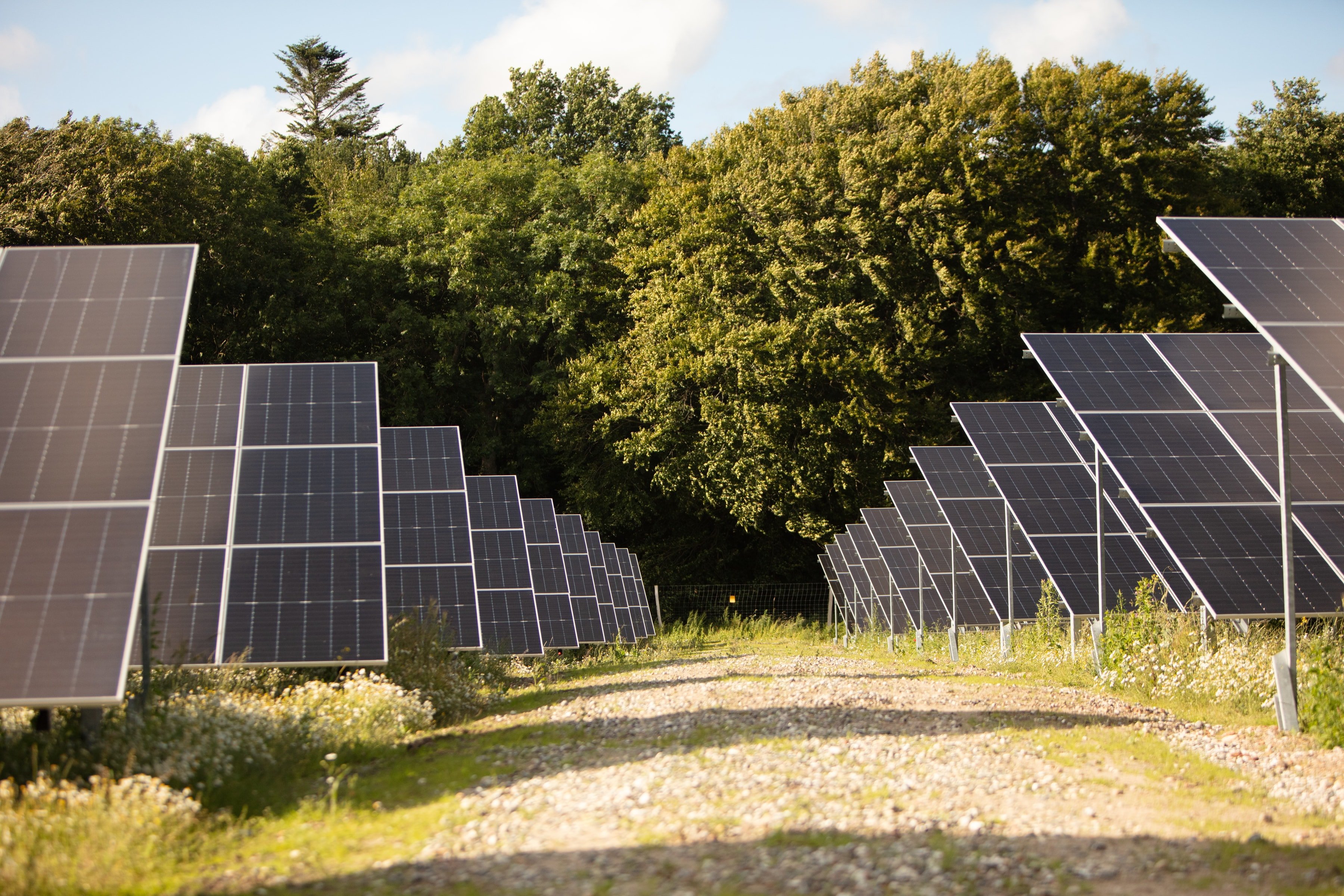 Image of solar panels with trees in the background.