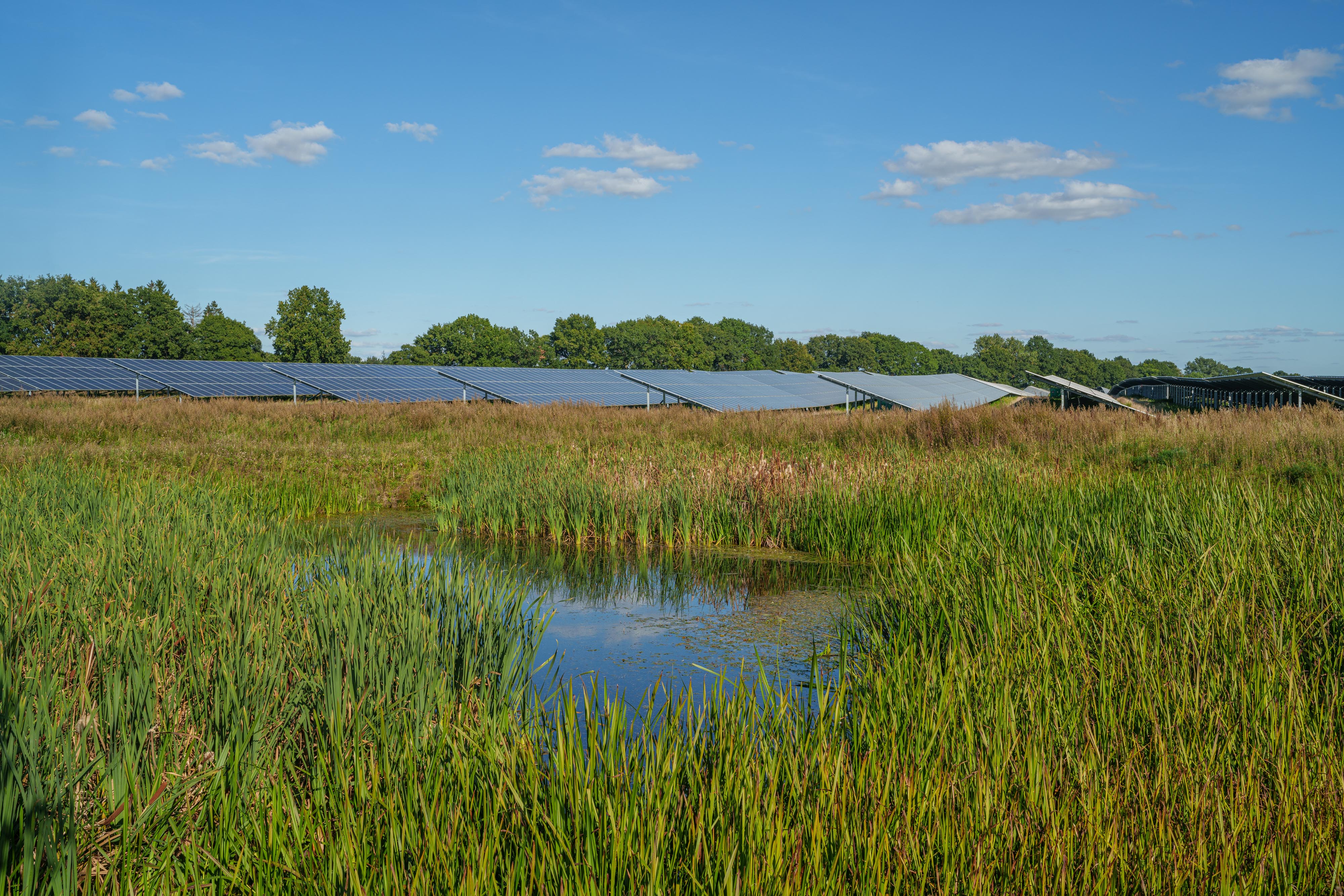 Jezioro przed farmą fotowoltaiczną