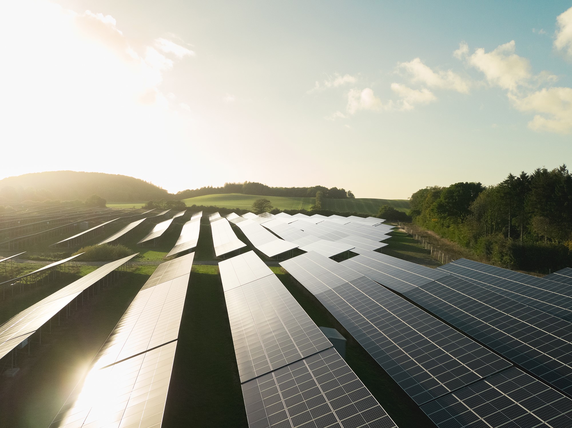 Solar panels with the sun shining on them in front of a forest 