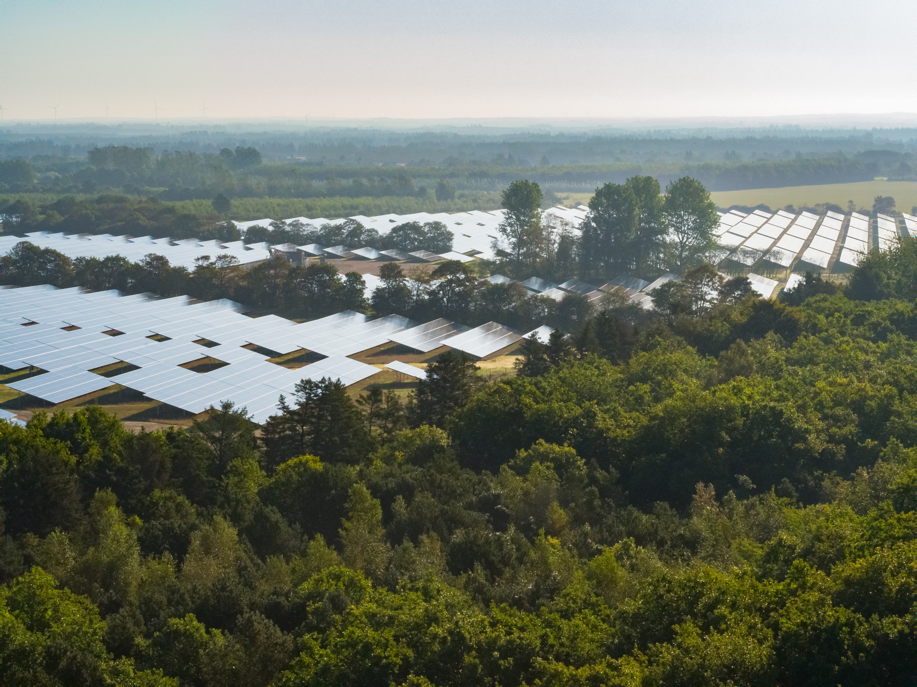 Picture of solar park and forest seen from above