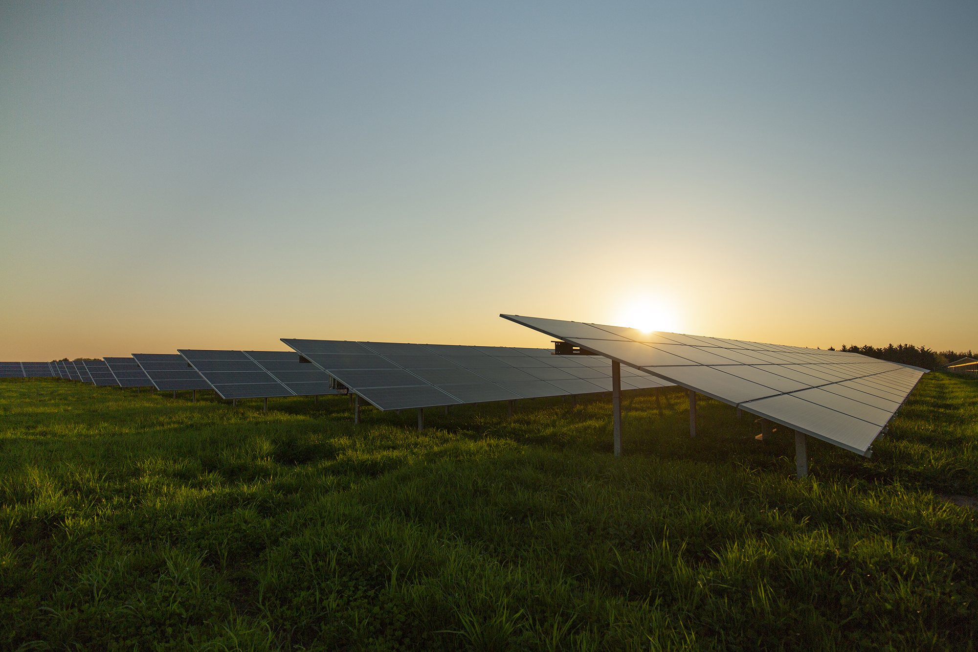 Solar park by sunset