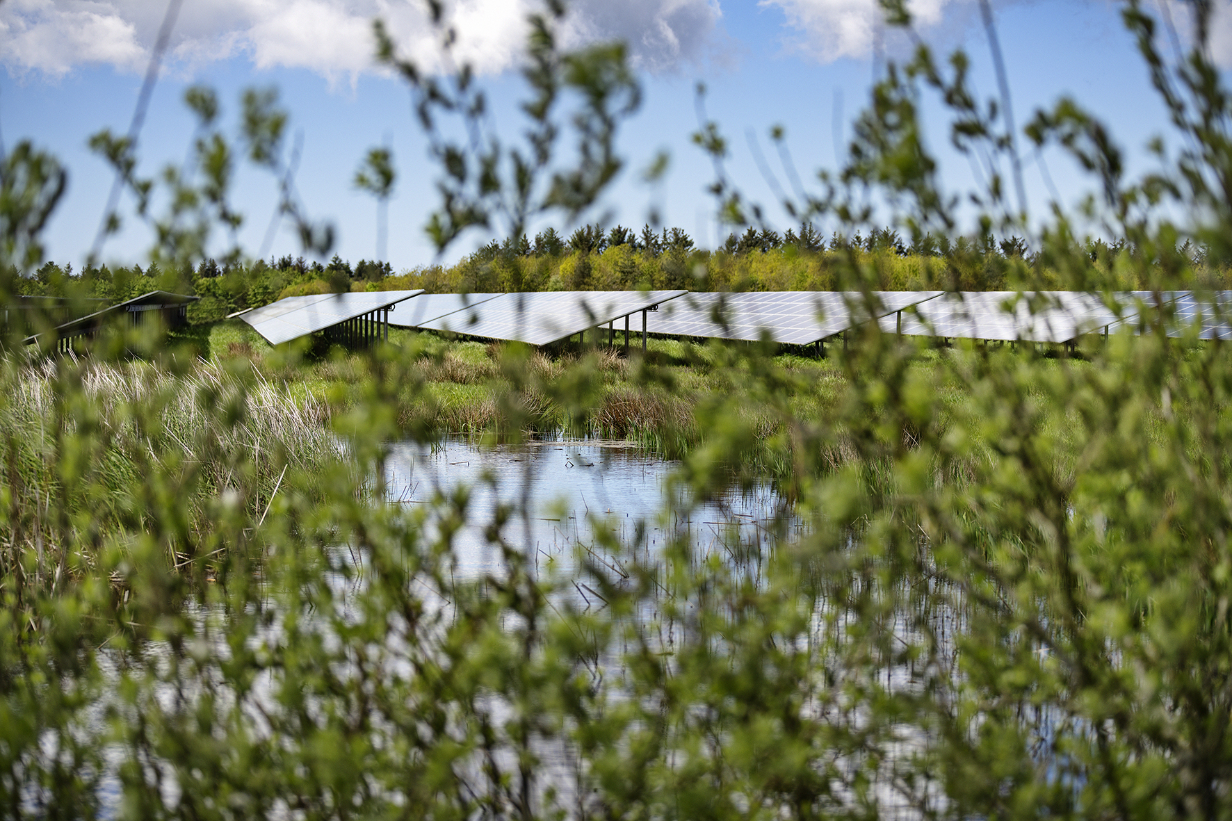 Image of solar park)