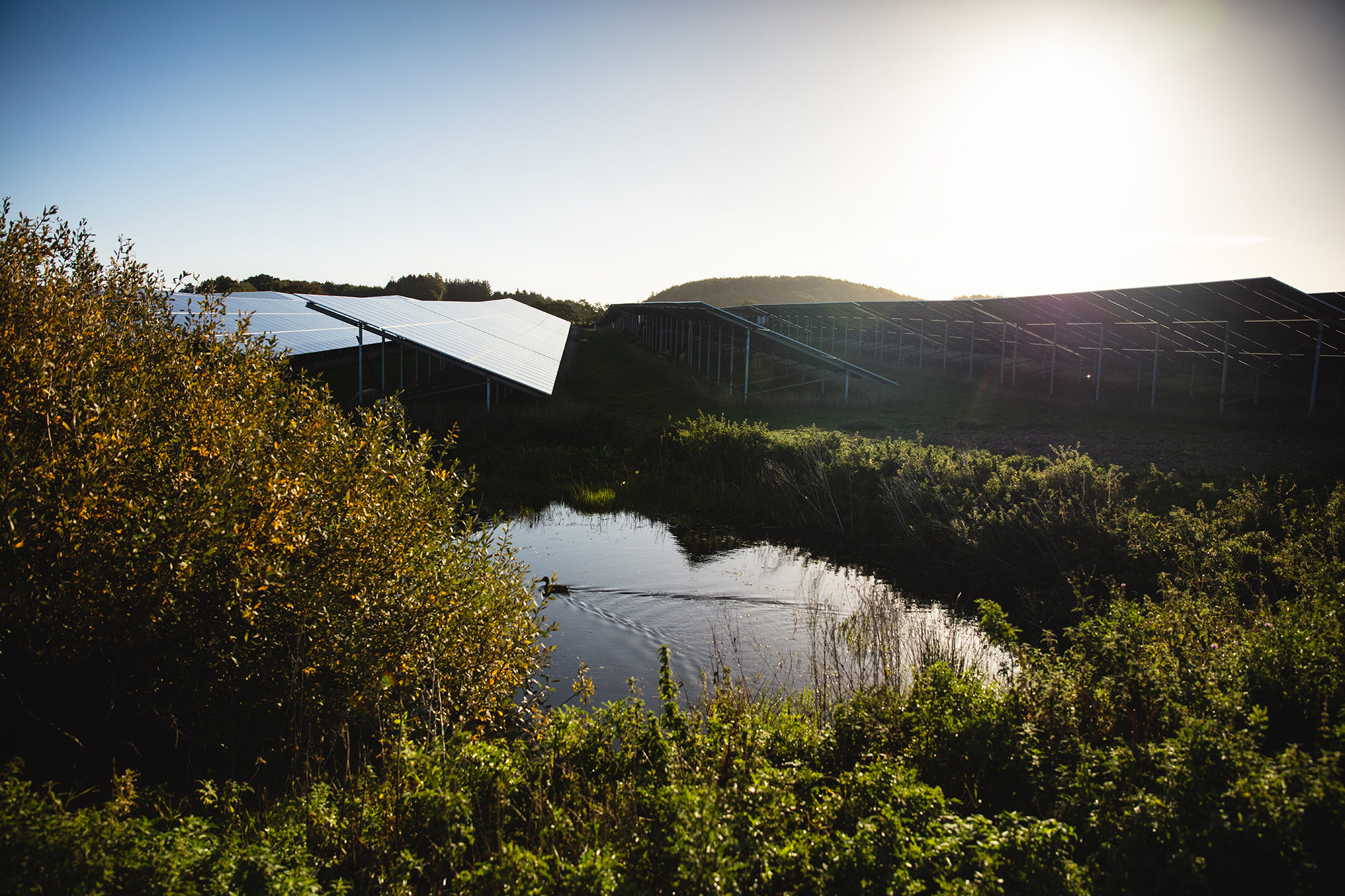 Lake and solar Park 