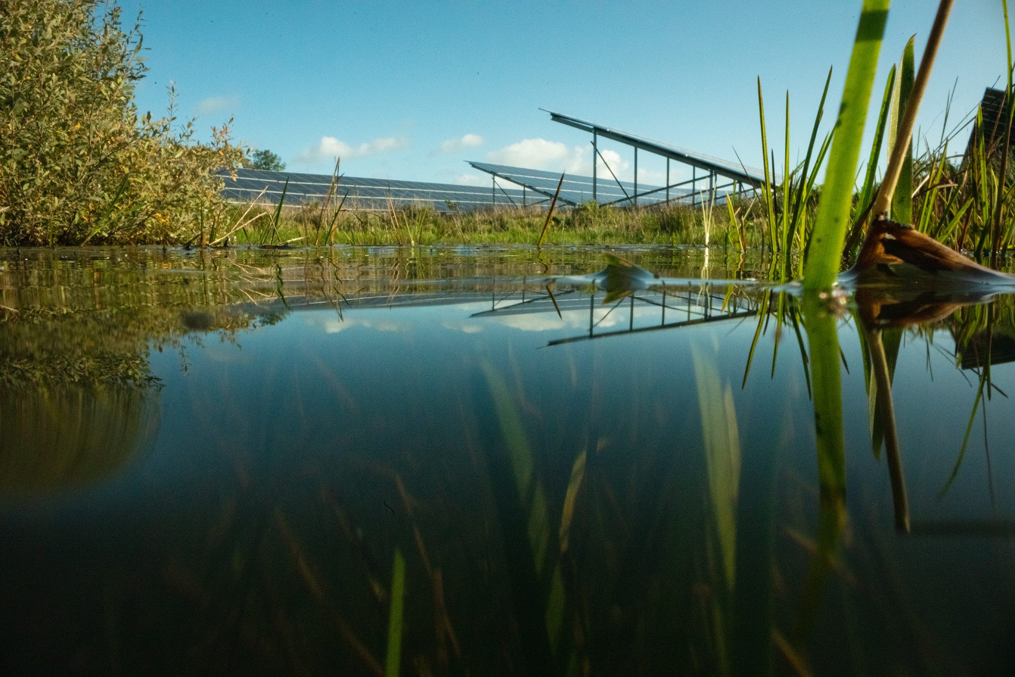 Wetland, bushes and solar park