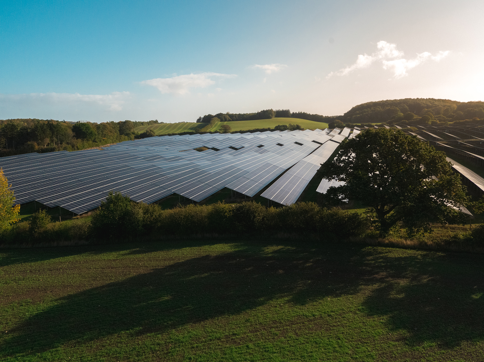 Picture of solar panels